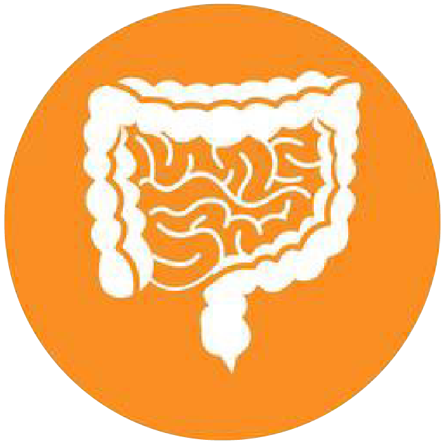 關(guān)注職場“腸”態(tài)，守護員工健康——上海格瑞特特邀消化內(nèi)科專家公益系列講座（4）(圖4)